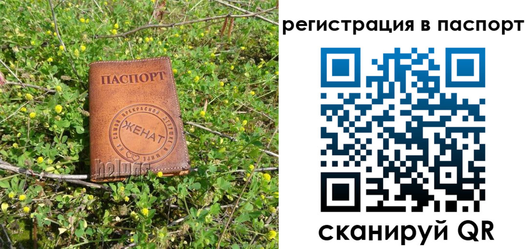 прописка законно в Ишиме